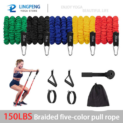 Resistance Band Set Workout Bands Exercise Band 5 Tube Fitness with Door Anchor Handles Legs Ankle Straps and Fitness Stick